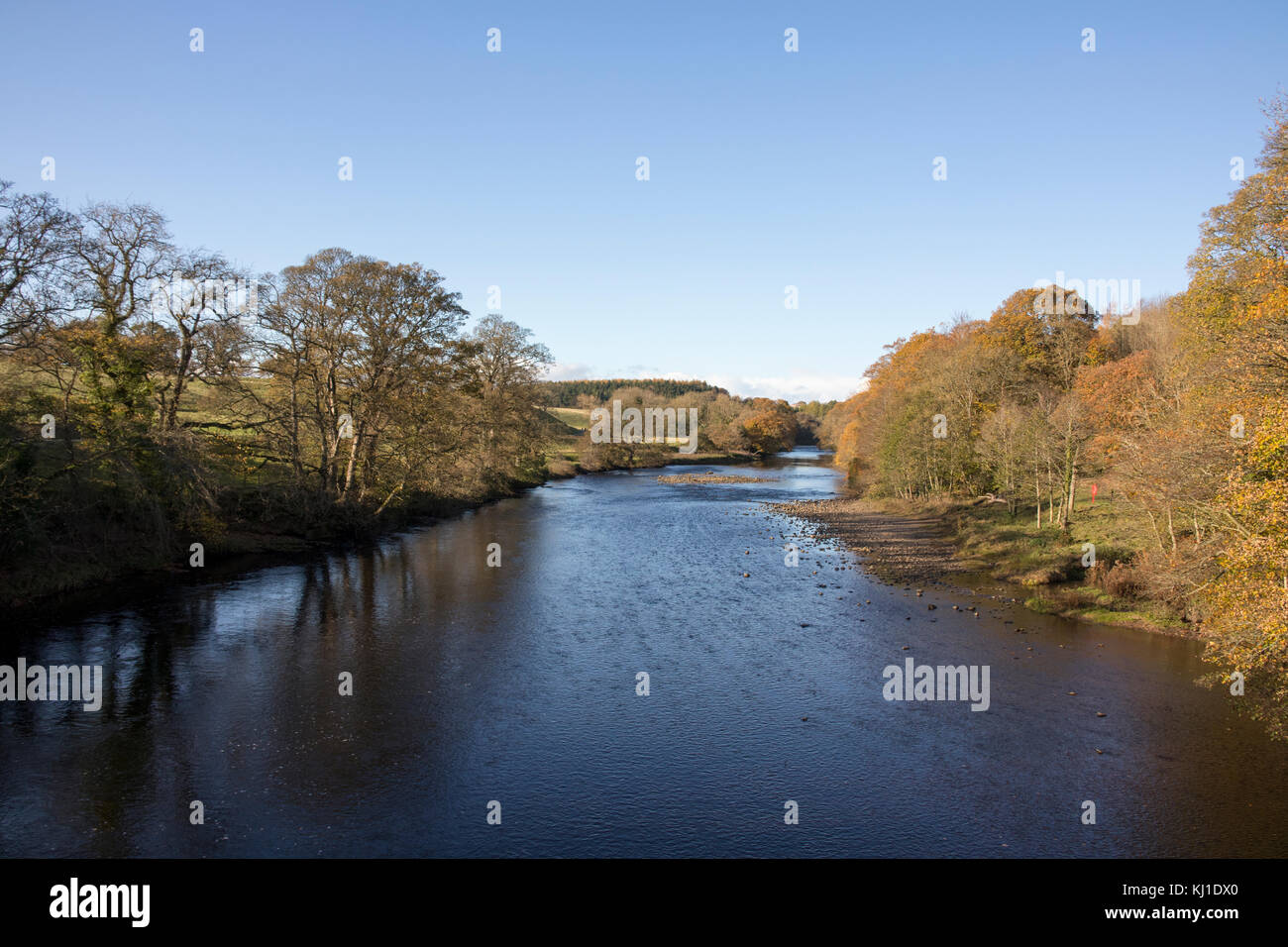Fiume Tees a Barnard Castle in autunno Foto Stock