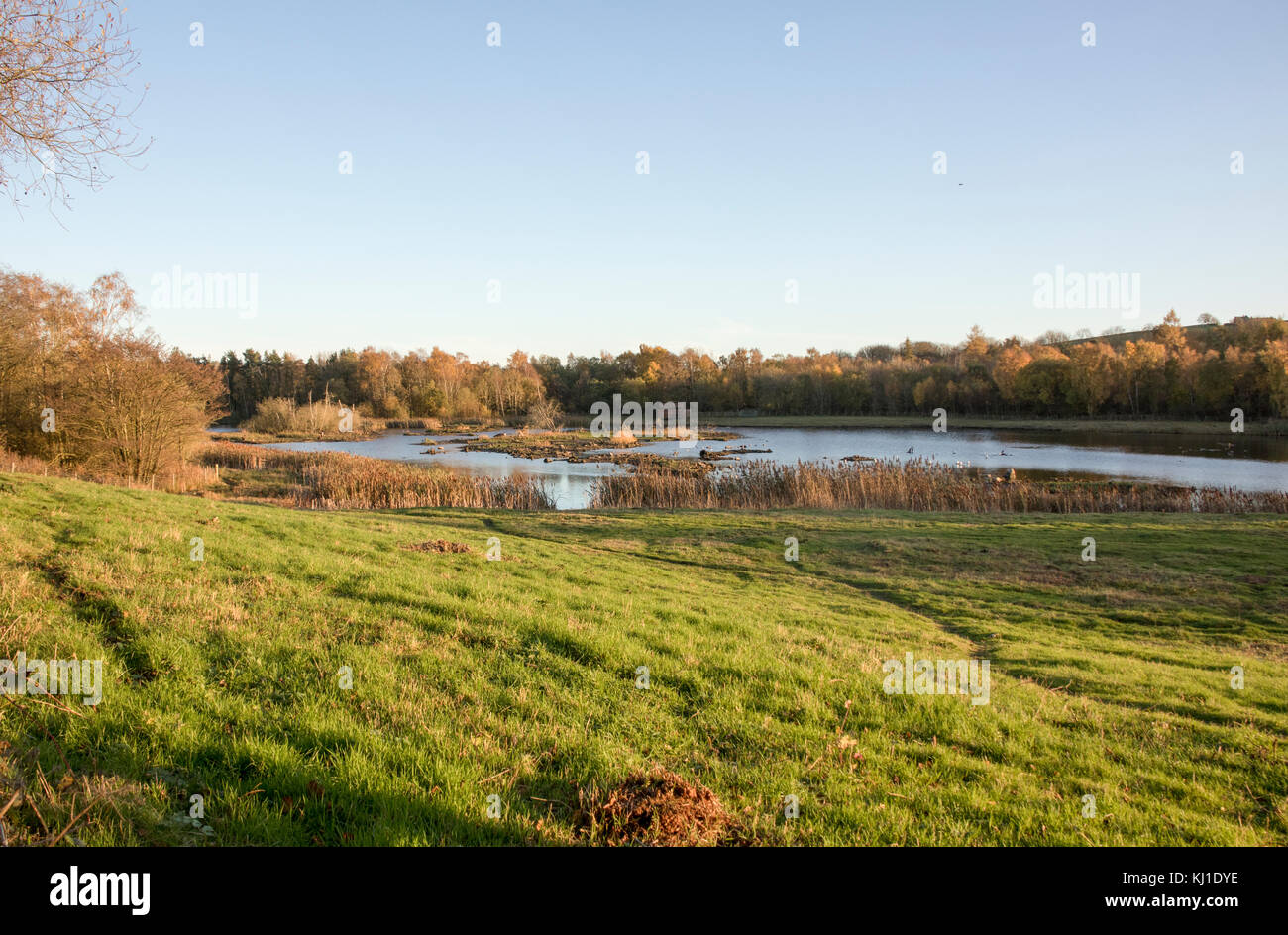 Fienili bassa riserva la natura in autunno Foto Stock