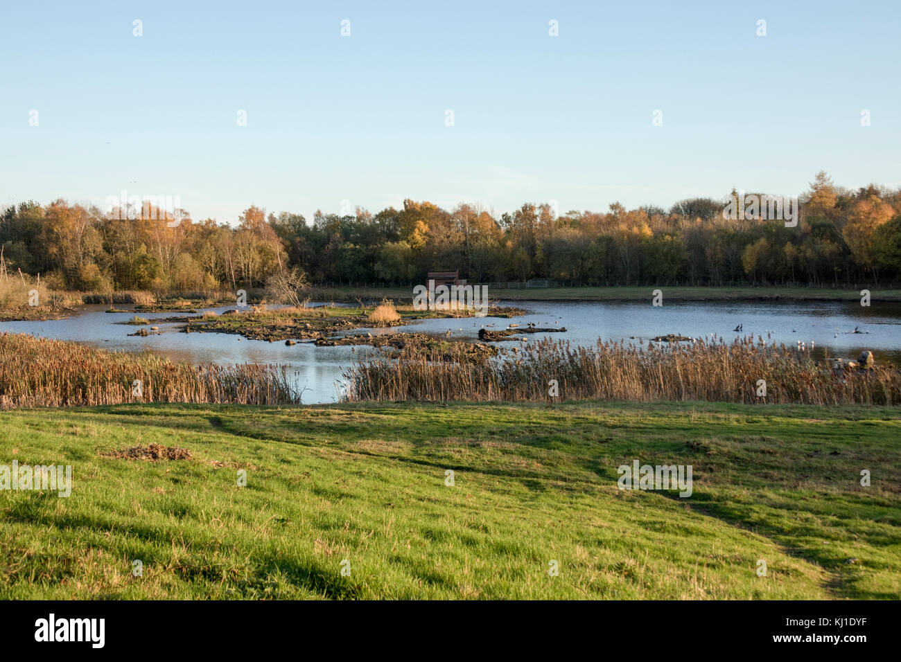 Fienili bassa riserva la natura in autunno Foto Stock