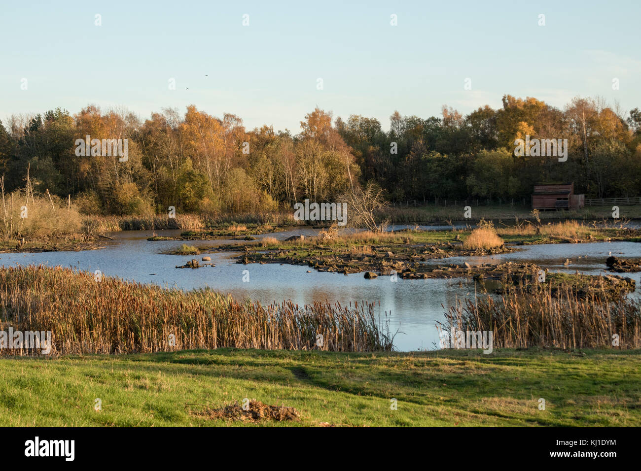 Fienili bassa riserva la natura in autunno Foto Stock