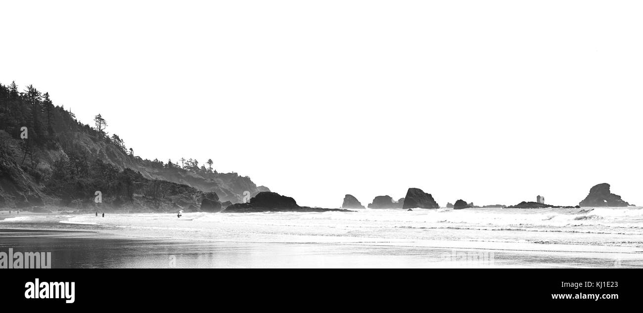 Oregon Coast ion uno sfondo bianco Foto Stock