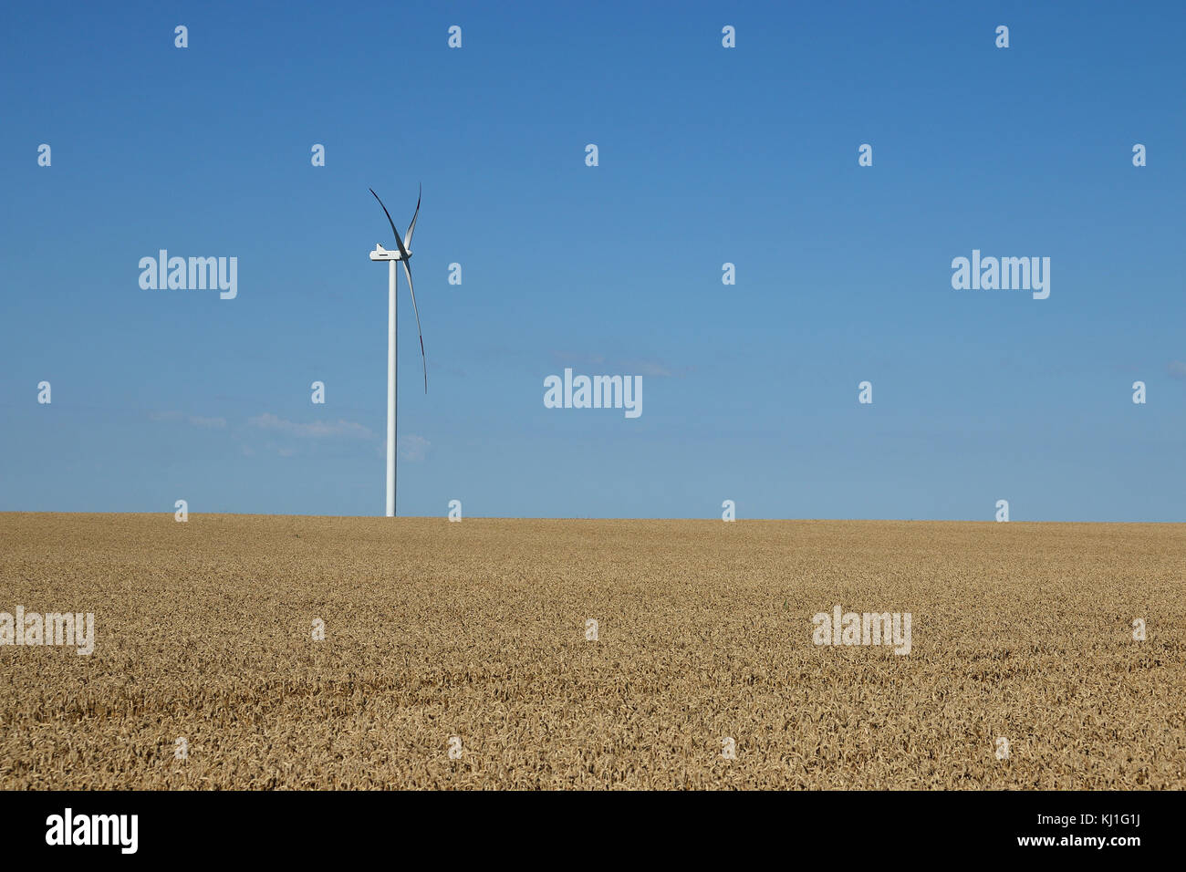 Turbine eoliche nel campo dell'energia rinnovabile Foto Stock