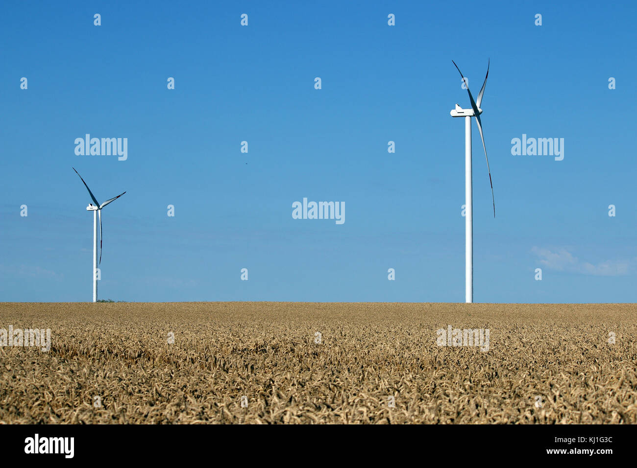 Le turbine eoliche sul campo di grano energie rinnovabili Foto Stock