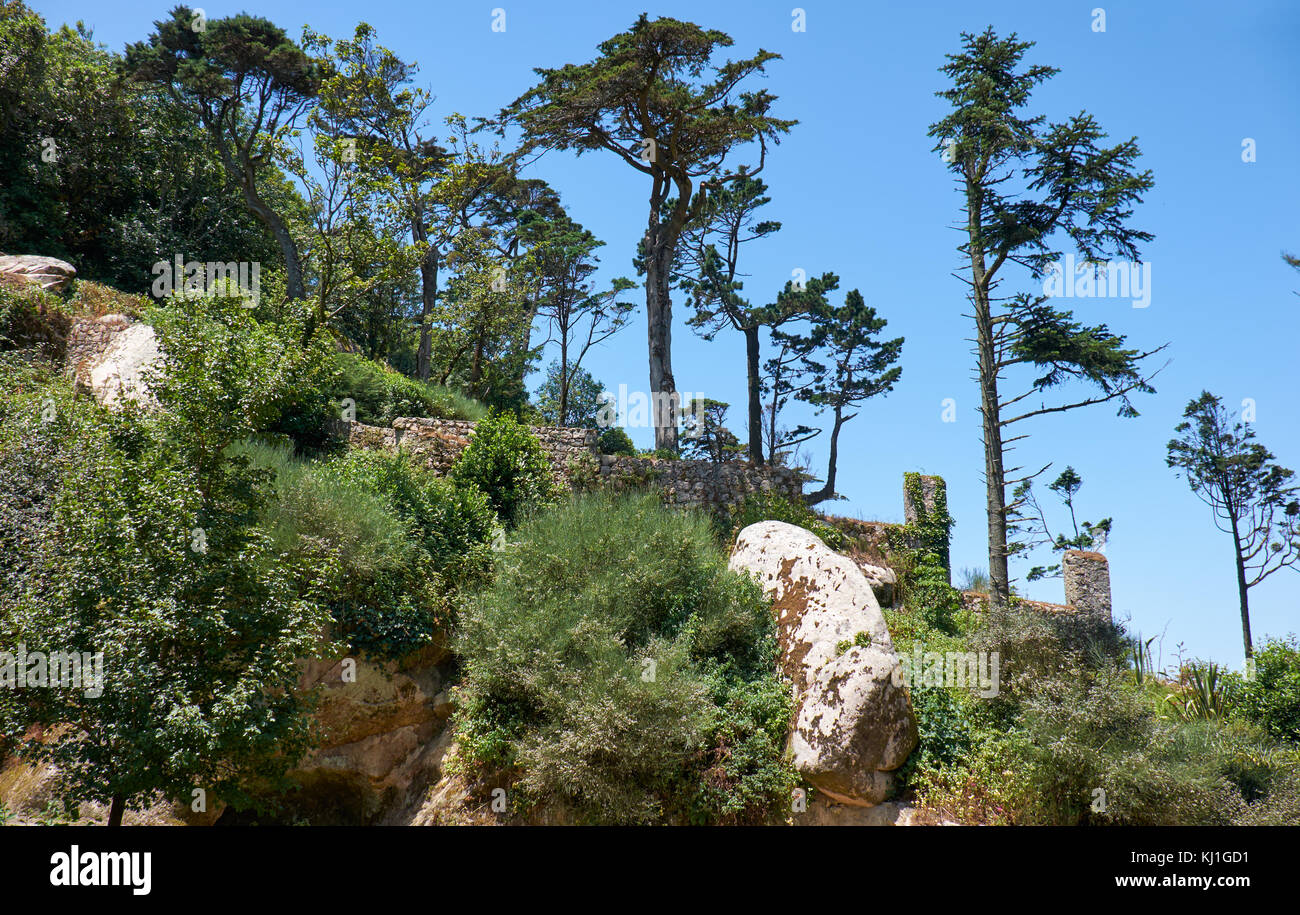 Il percorso pedonale attraverso un bosco di castagni, querce e sequoie con rocce naturali al palazzo di pena. Sintra, Portogallo Foto Stock