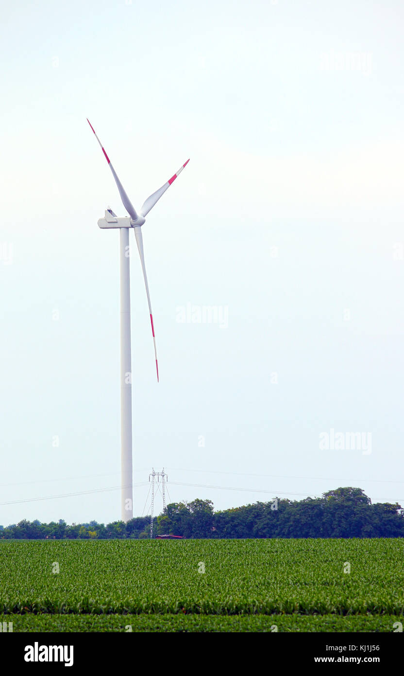 Turbina eolica sulla soia campo di energia rinnovabile Foto Stock