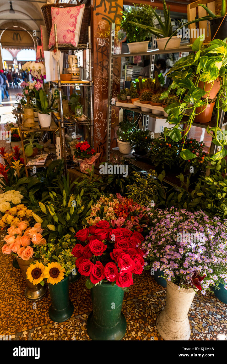 Flower shop in bologna immagini e fotografie stock ad alta risoluzione -  Alamy