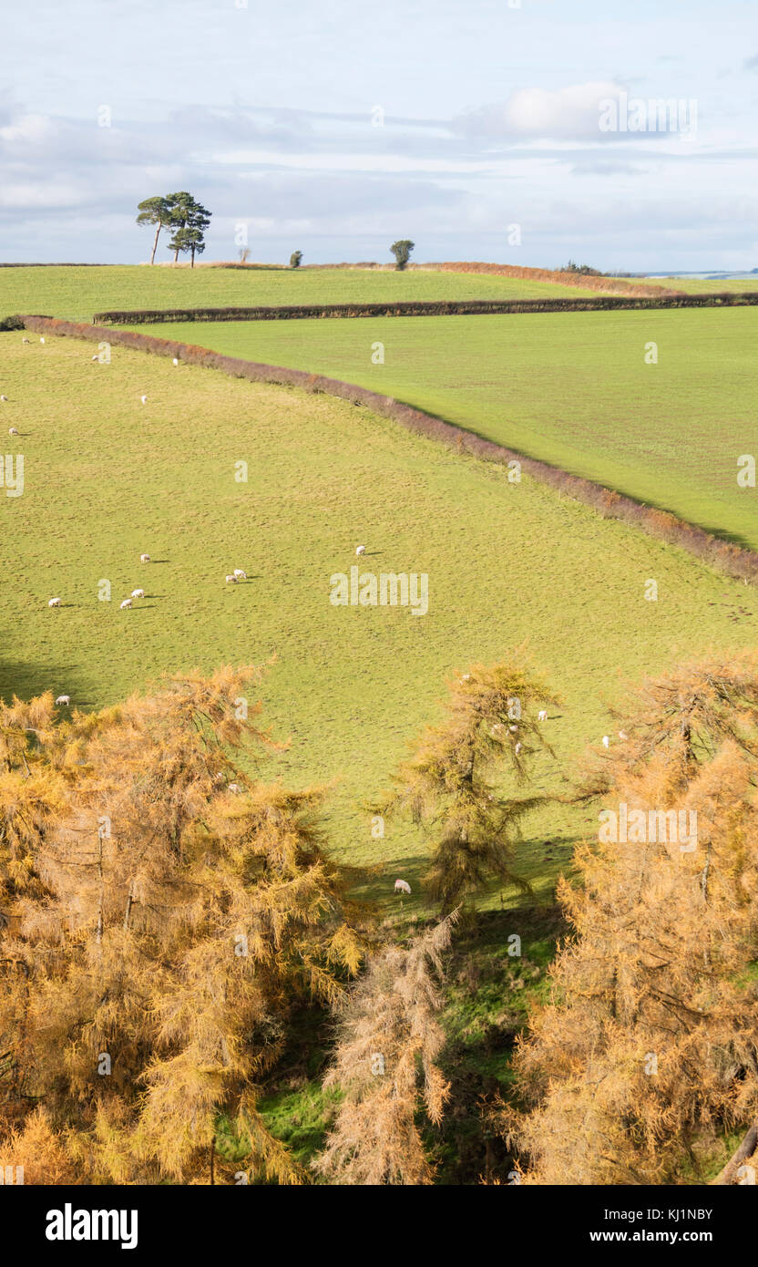 Confine gallese paese vicino al piccolo abitato rurale di Clun, Shropshire, Inghilterra, Regno Unito Foto Stock