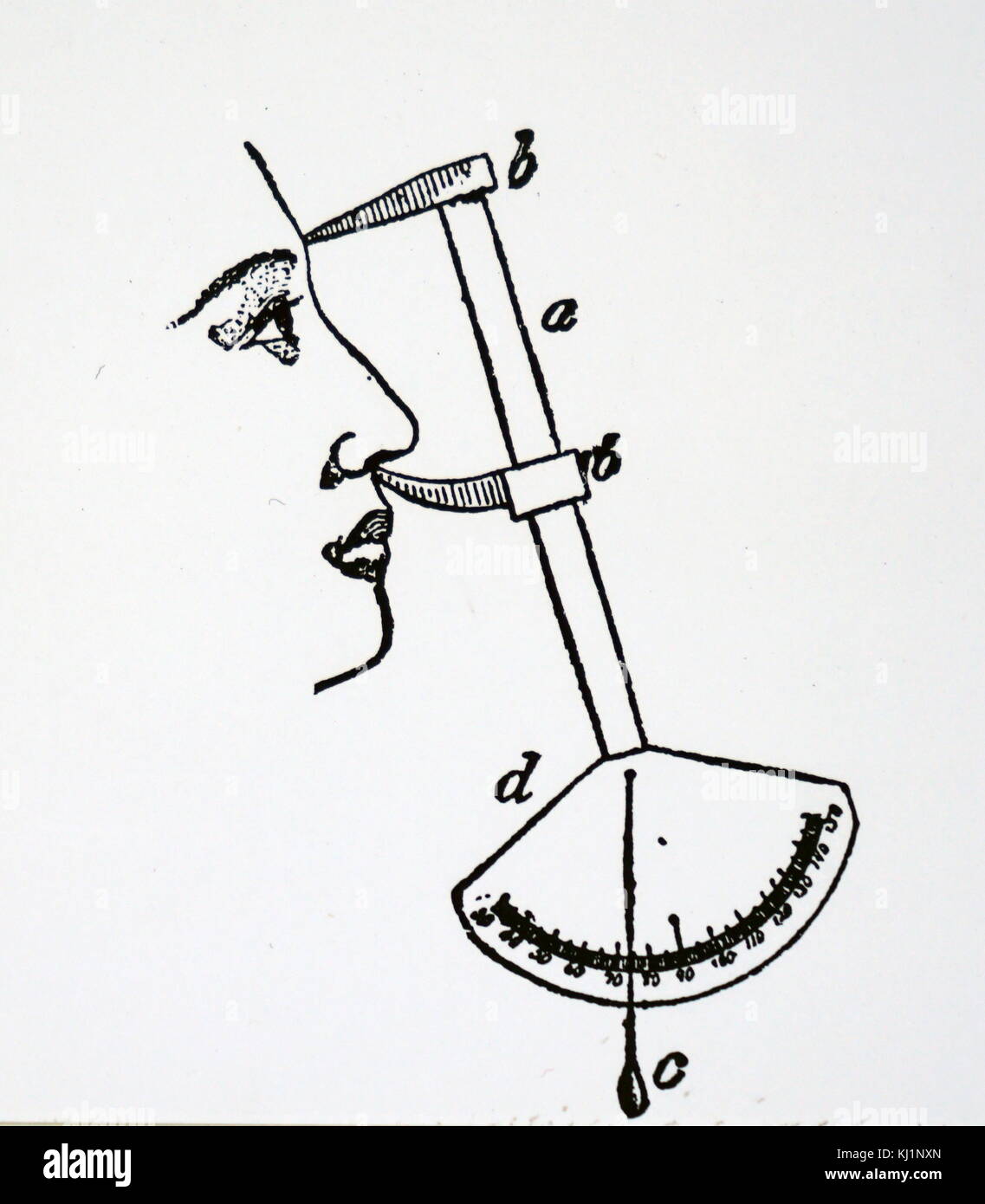 Incisione raffigurante un clinometro utilizzati per misurare gli angoli del profilo di un volto. In data xx secolo Foto Stock
