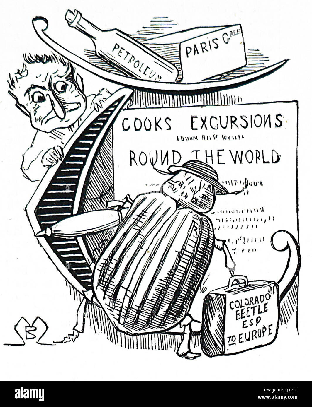 Cartoon raffigurante un coleottero Colorado: Nel 1877 arriva in Gran Bretagna e diventare una peste del raccolto di patata che ha portato a un ordine in Consiglio che tutti i campioni siano distrutti. Datata del XIX secolo Foto Stock