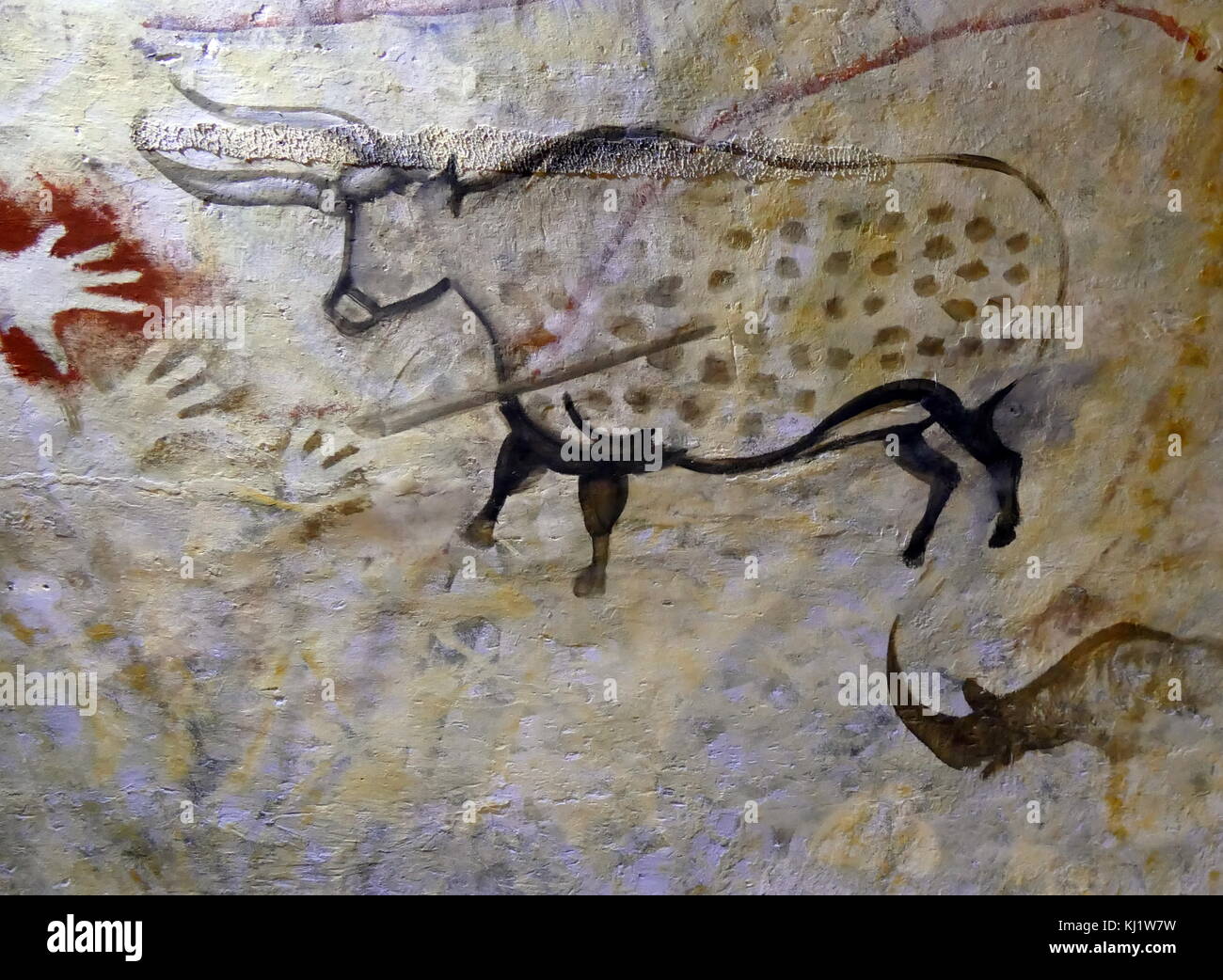 Pittura rupestre trovata nella Grotta di Altamira, situato in Cantabria, Spagna, risalente al Paleolitico Superiore periodo. Foto Stock