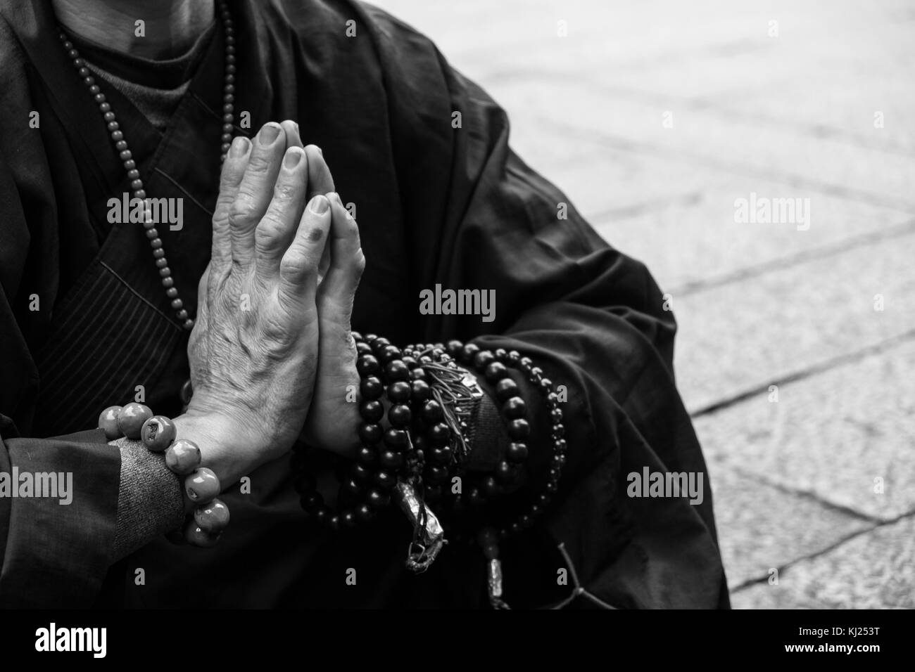 Monaco buddista di pregare in Taipei, Taiwan Foto Stock