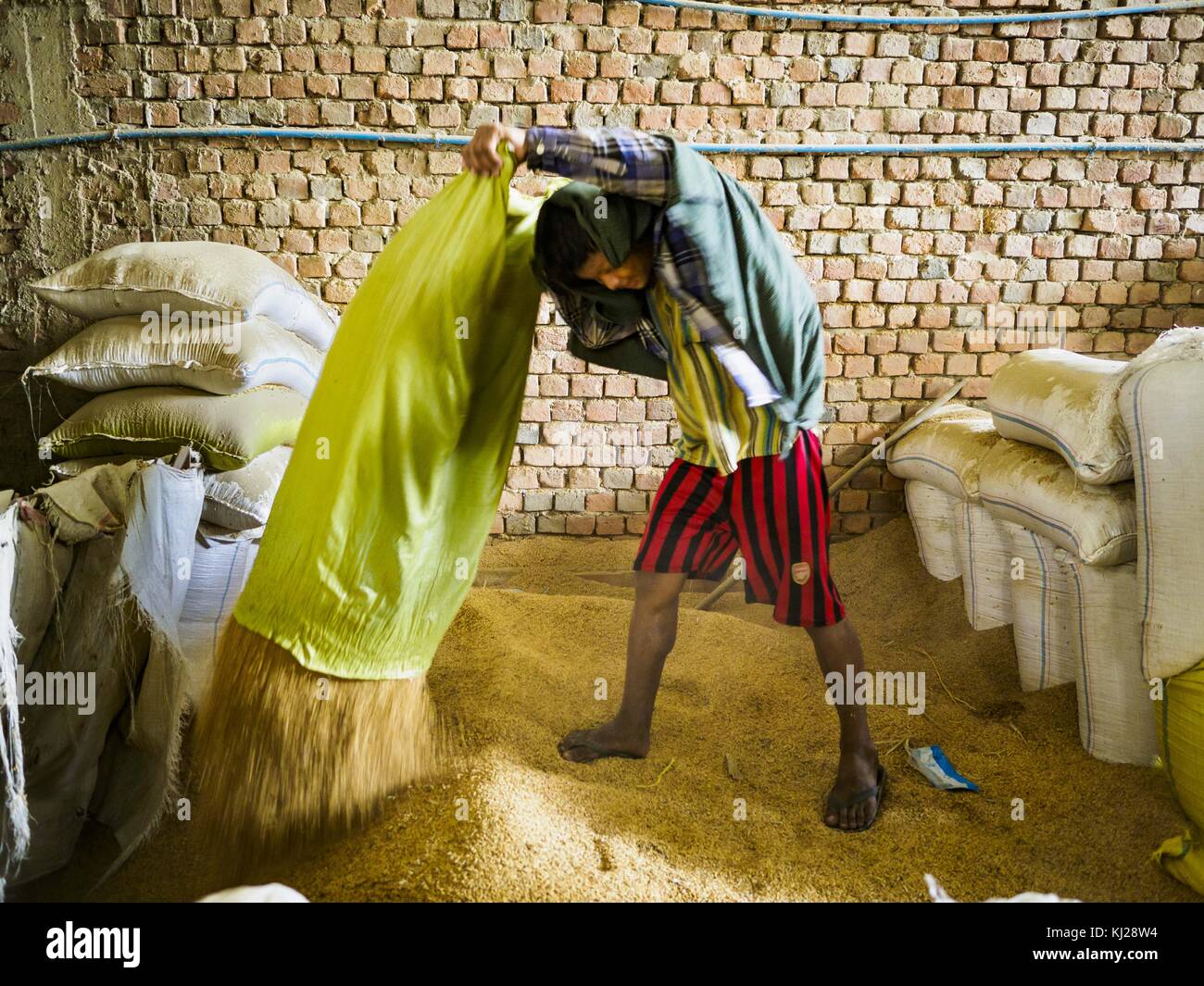 Wakema, regione di Ayeyarwady, Myanmar. 21 novembre 2017. I lavoratori alimentano sacchi di risone (il risone è riso non trasformato) in una linea di trasformazione presso un riseificio nel delta dell'Ayeyarwady. Il Myanmar è il sesto più grande produttore di riso del mondo e più della metà dei terreni coltivabili del Myanmar viene utilizzata per la coltivazione del riso. Il delta dell'Ayeyarwady è la regione di coltivazione del riso più importante ed è talvolta chiamato "Granaio del Myanmar". L'Organizzazione delle Nazioni Unite per l'alimentazione e l'agricoltura (FAO) prevede che il raccolto 2017 aumenterà rispetto al 2016 e che le esportazioni saliranno a 1,8 milioni di tonnellate. (Immagine di credito: © Jack Foto Stock