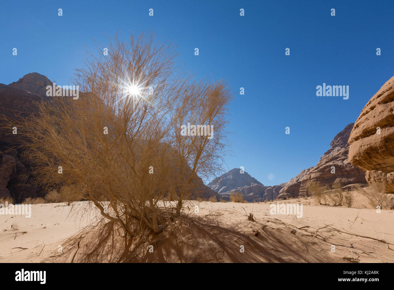 Bussola a secco con Sun nel Wadi Rum desert, Giordania Foto Stock