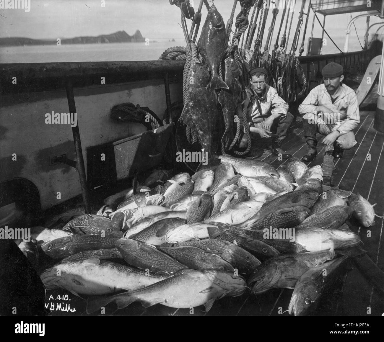 La pesca a fini commerciali Foto Stock