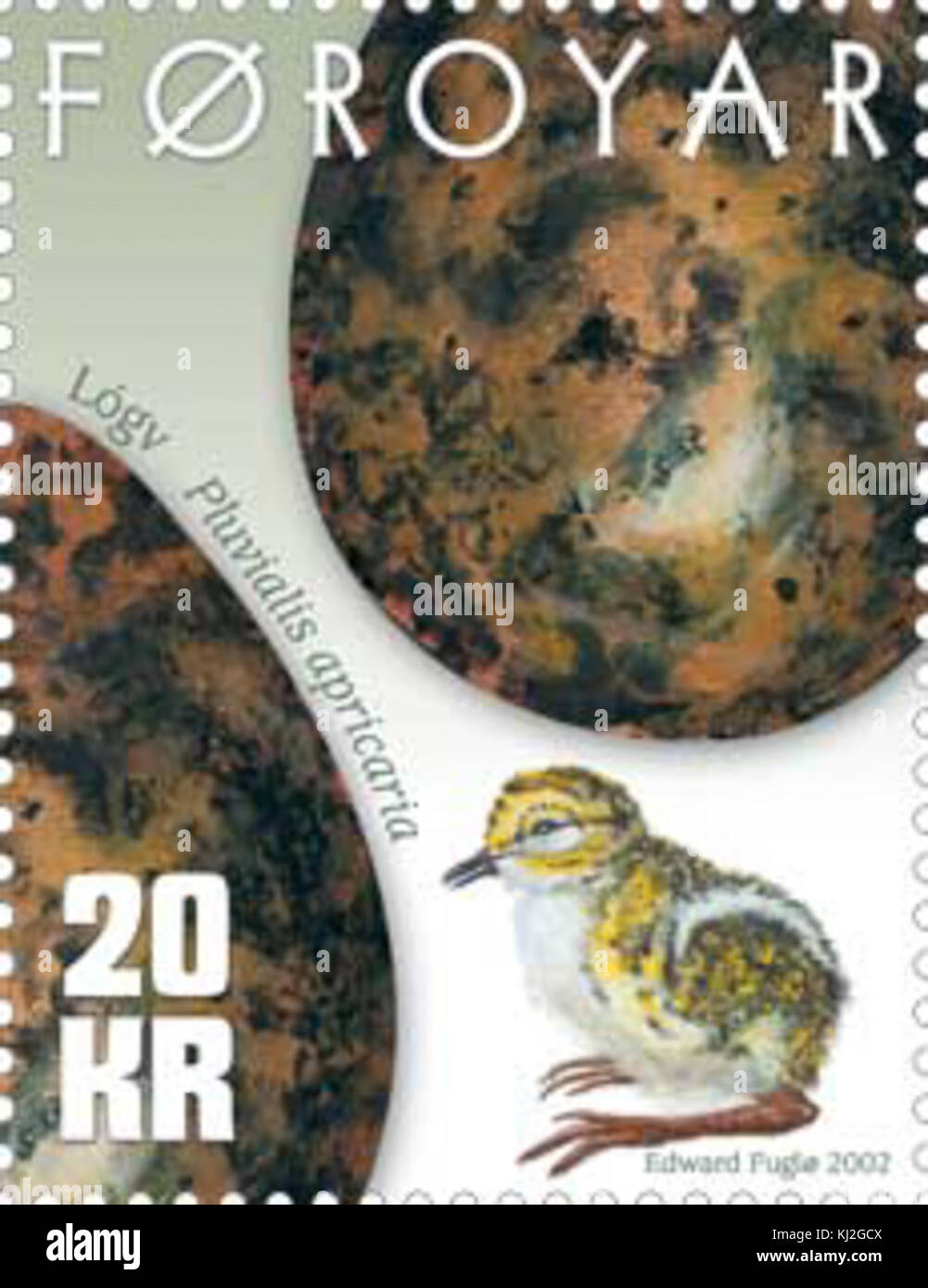 Timbro Faerøer 422 uova di uccelli Pluvialis apricaria Foto Stock