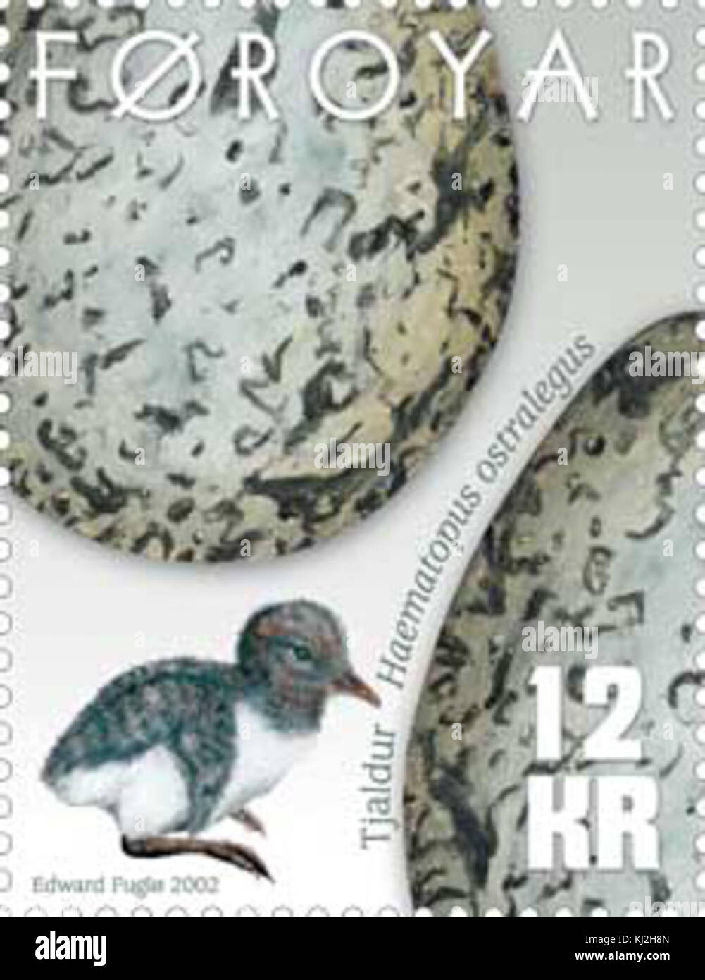 Timbro Faerøer 421 uova di uccelli oystercatcher Foto Stock