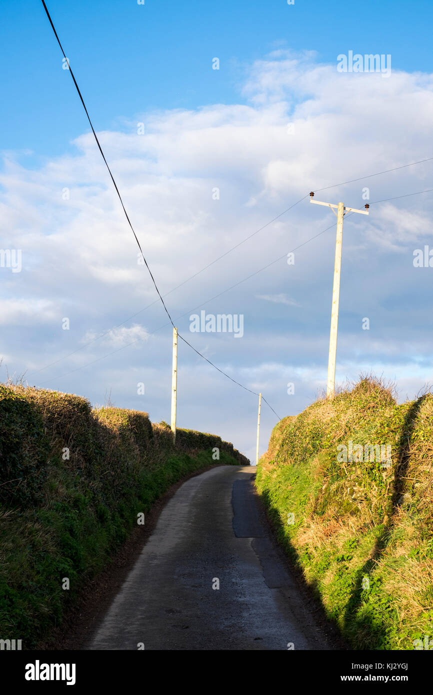 Pali del telegrafo fodera vicolo del paese in devon Foto Stock