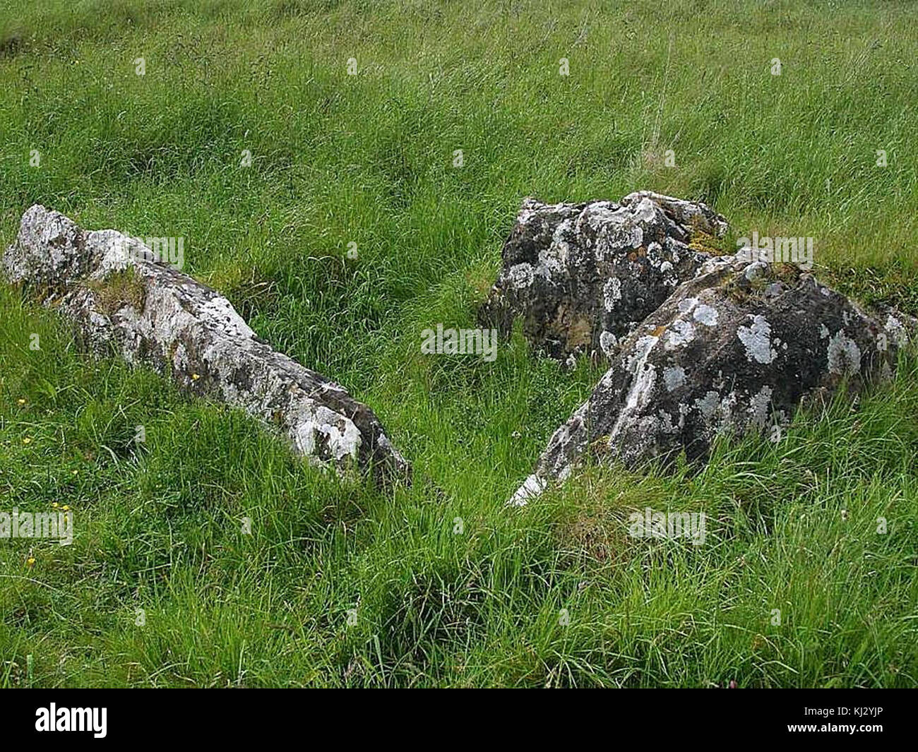 Le lapidi in Irlanda mostrano una serie di marcatori storici, spesso incisi con nomi e date, che riflettono le tradizioni sepolcrali e il significato storico dei cimiteri irlandesi. Foto Stock