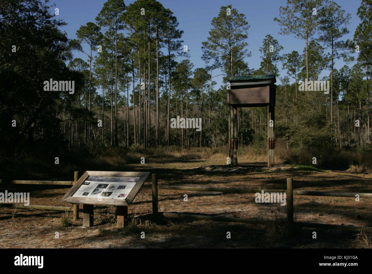 Piccolo albero di casa Foto Stock