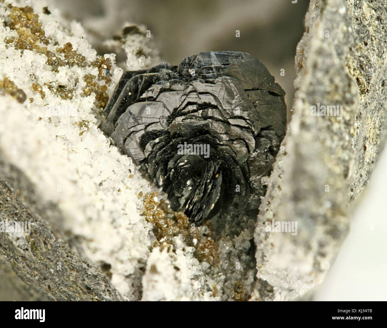 Ilmenite-252875 Foto Stock