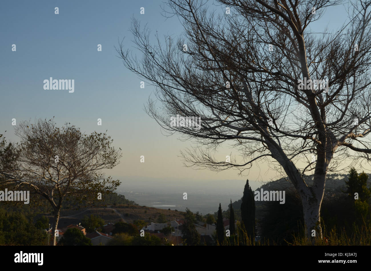 Questa immagine si riferisce a un articolo postale o a una pubblicazione che elenca le città in Israele, offrendo informazioni sulle città e le aree geografiche all'interno del paese. Foto Stock