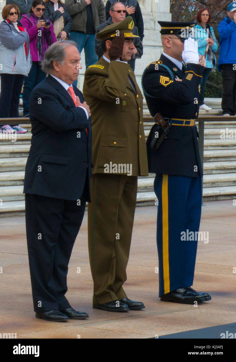 Ghirlanda cileno che stabilisce - salute (16044187965) Foto Stock