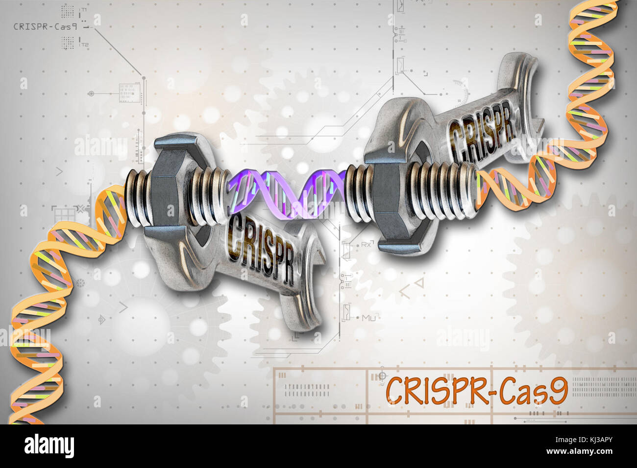 NHGRI-97218 Foto Stock