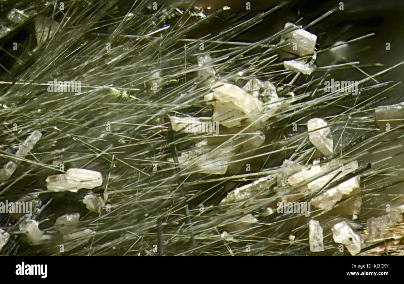 Leucophanite-175567 Foto Stock