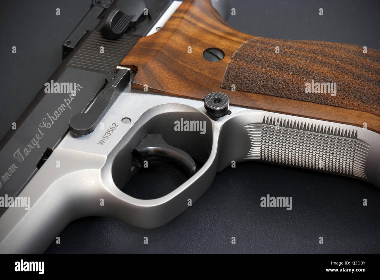 Smith e Wesson, Campione del target 9mm, dettaglio (21267946562) Foto Stock