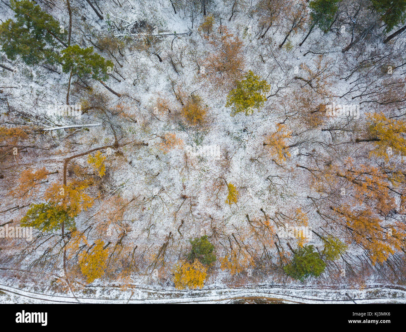 La vista aerea della coperta di neve foresta in tempo di inverno pieno di sole sunrise. Foto Stock