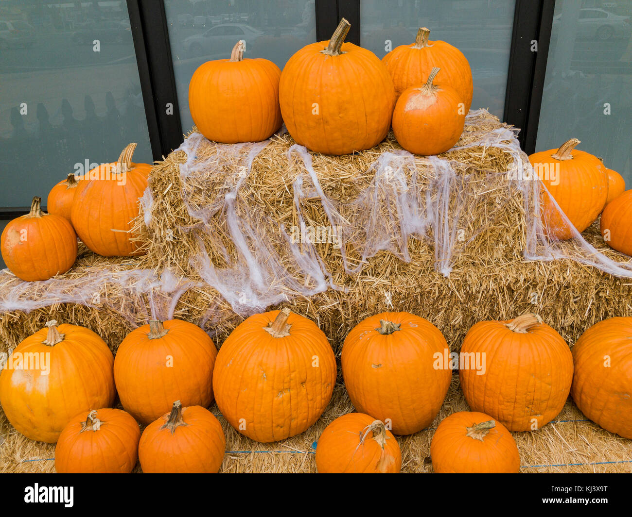 Halloween pupmking decorazione presso il tempio, la città di Los Angeles, california, Stati Uniti Foto Stock