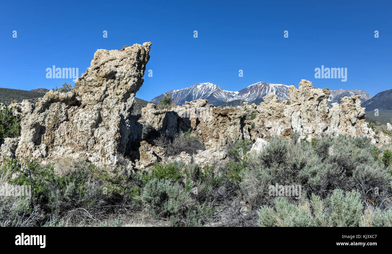 La formazione di tufo in mono lago di tufo riserva naturale statale, california con coperta di neve sierra mountains in background. Foto Stock