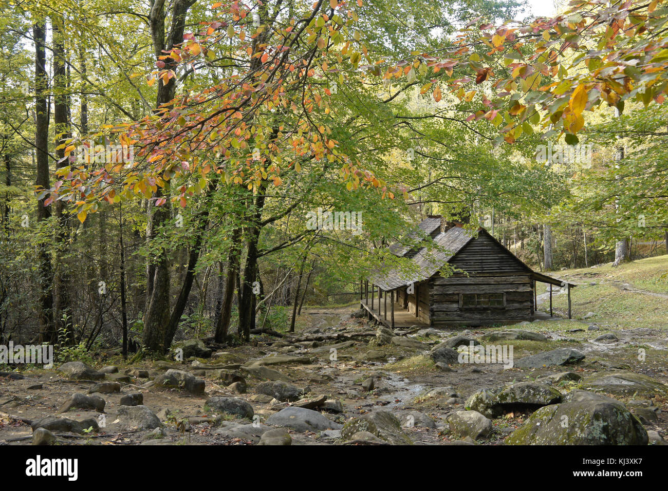 Il fogliame di autunno e log cabin a Noè "Bud" Ogle posto, Roaring Fork Motor Sentiero Natura, Great Smoky Mountains National Park, Tennessee Foto Stock
