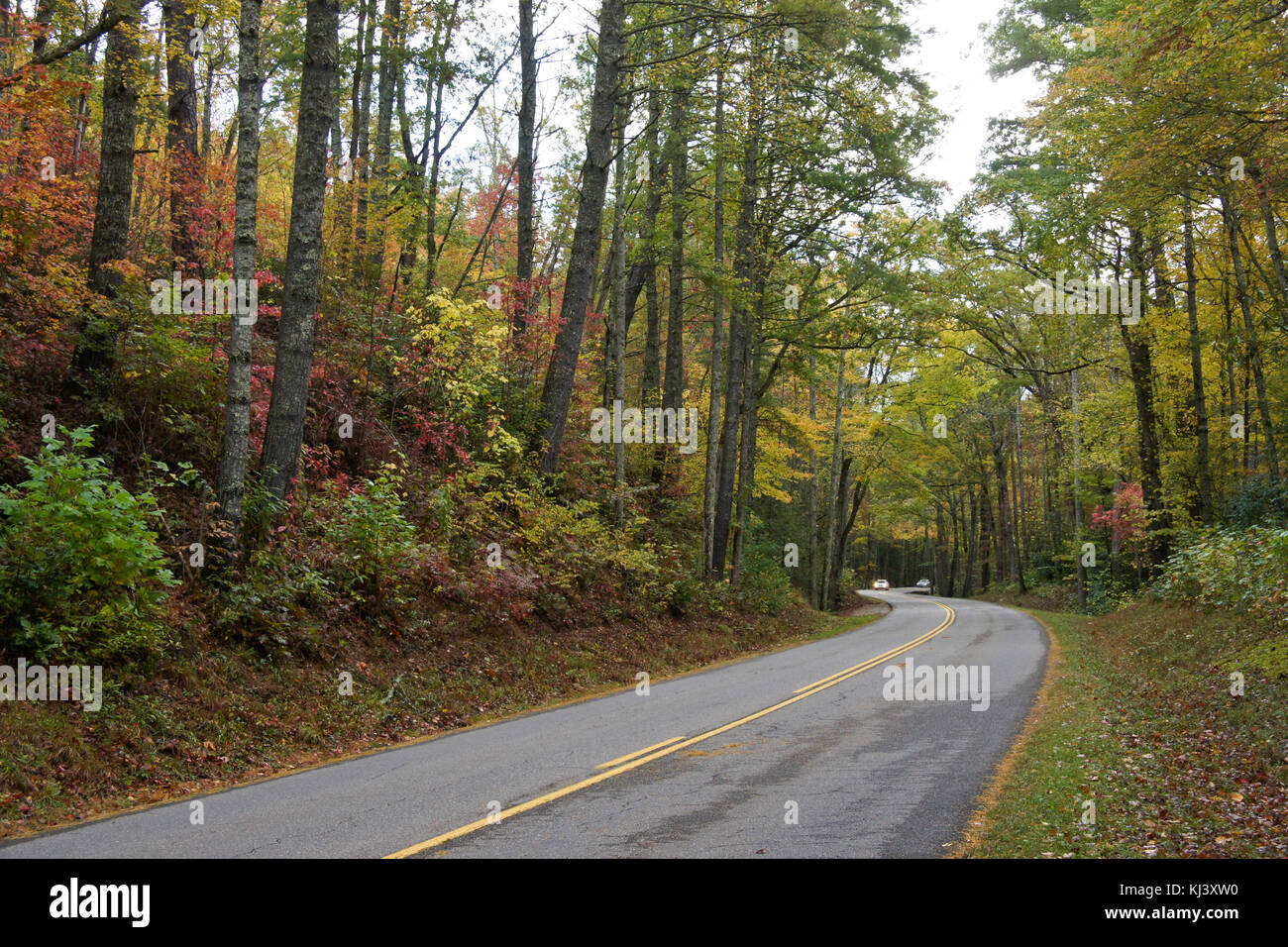 Il fogliame di autunno lungo il piccolo fiume Road, Great Smoky Mountains National Park, Tennessee Foto Stock