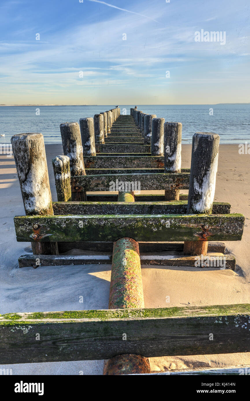 Il vecchio molo lungo la spiaggia di Brighton, Coney Island Beach con i gabbiani di riposo in Brooklyn, New York. Foto Stock