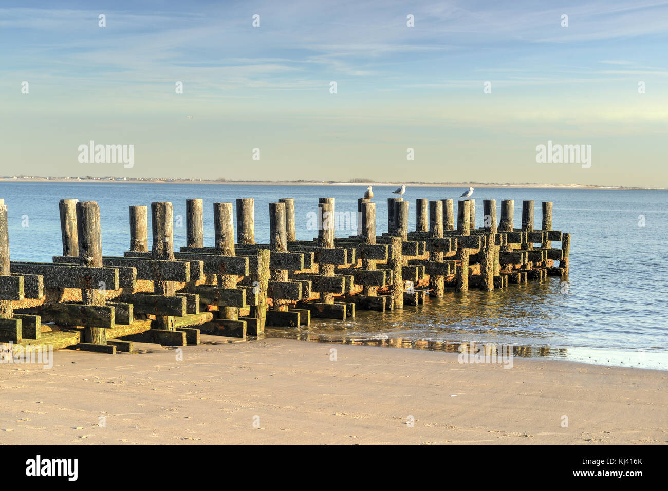 Il vecchio molo lungo la spiaggia di Brighton, Coney Island Beach con i gabbiani di riposo in Brooklyn, New York. Foto Stock