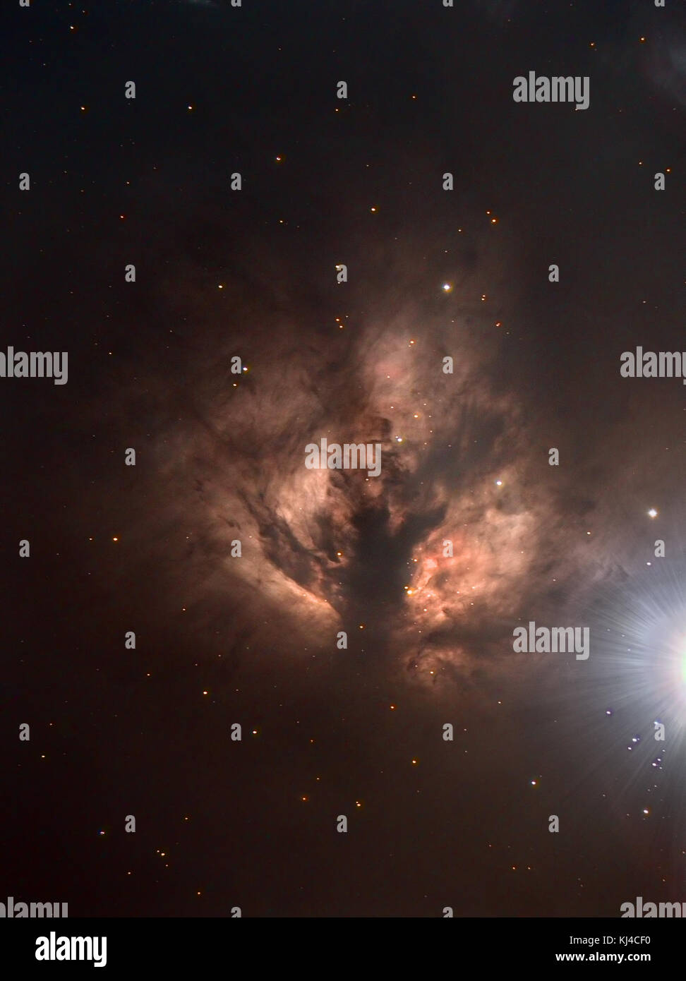 La nebulosa Fiamma DylanODonnell Foto Stock