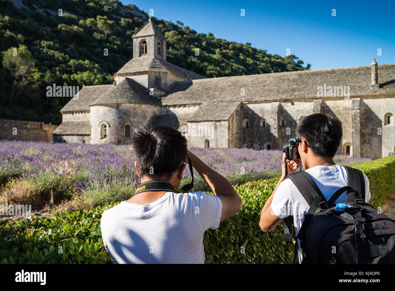 I turisti in Abbazia Senanque, Provenza, in Francia, in Europa. Foto Stock