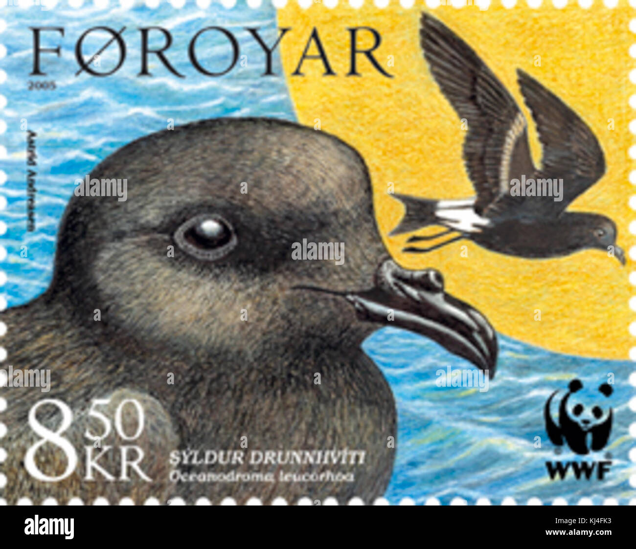 Il francobollo 522 delle Isole Faroe presenta un petrel di tempesta, un uccello marino trovato nell'Atlantico settentrionale. Questo francobollo evidenzia l'importanza della conservazione della fauna selvatica e mostra la fauna naturale dell'isola. Foto Stock