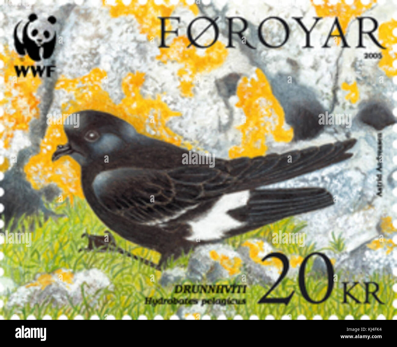 Timbro Faerøer 525 storm petrel Foto Stock