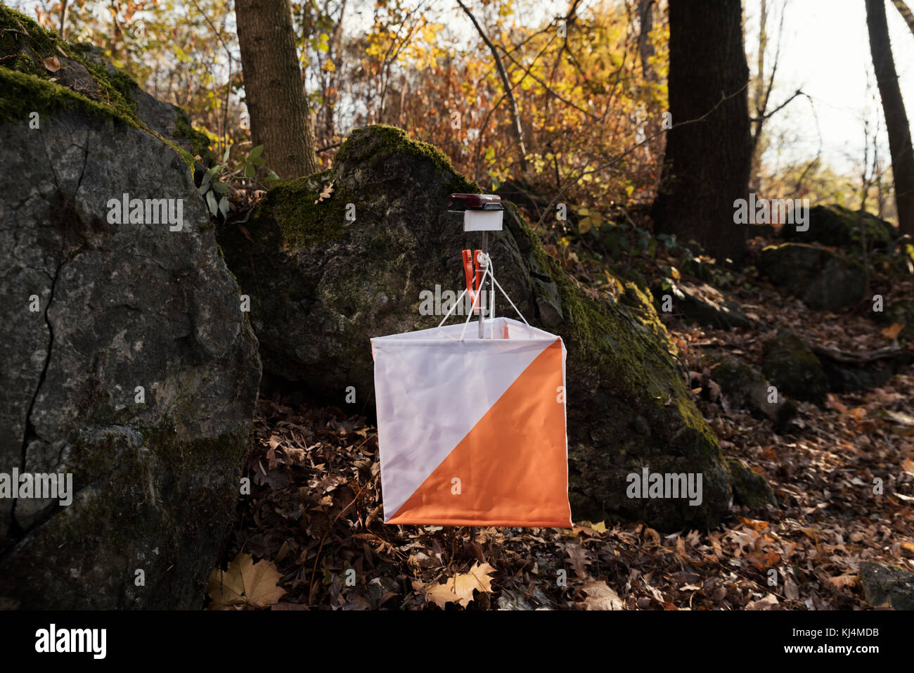 Orienteering punto di controllo sign Foto Stock