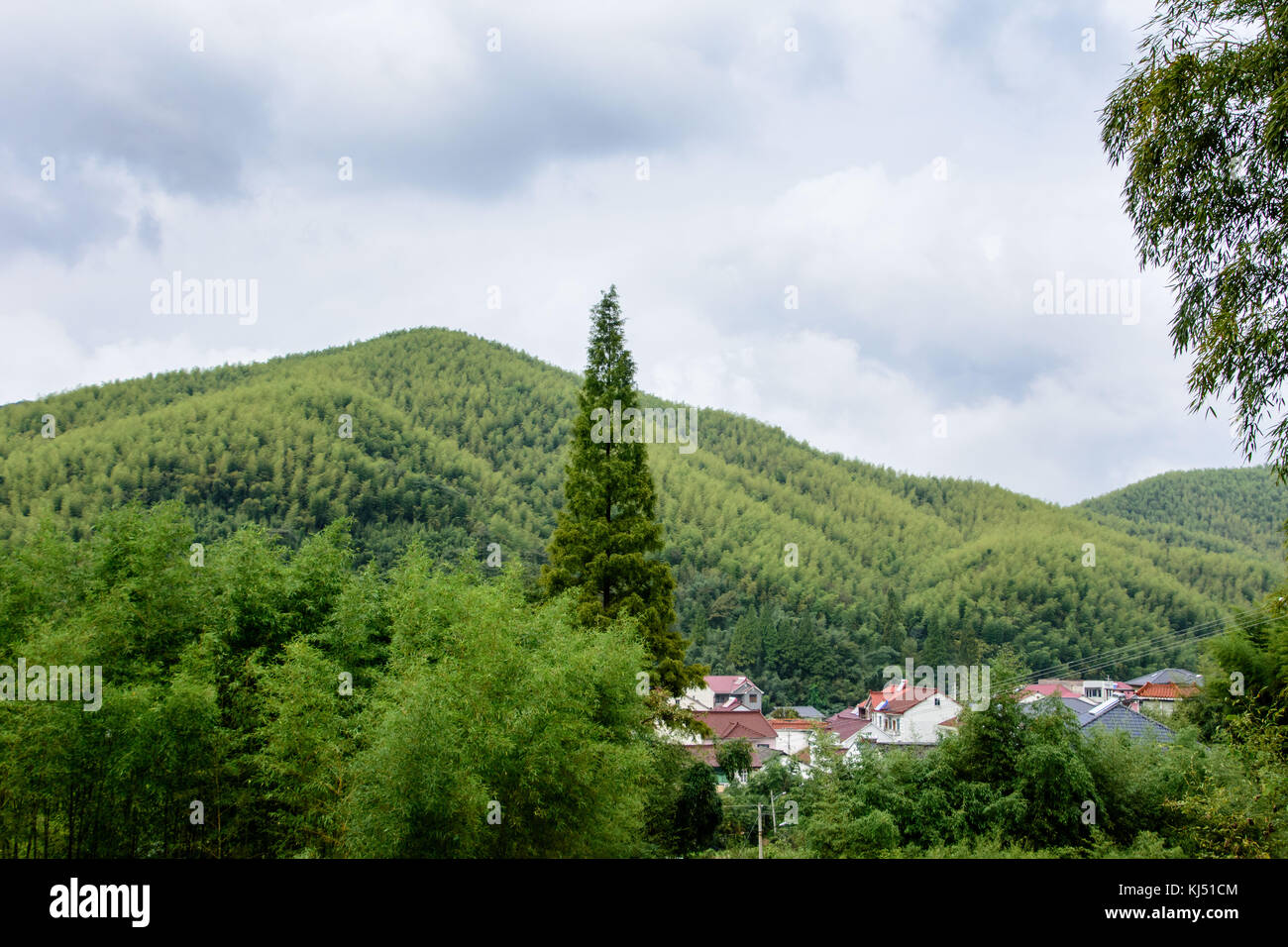 Piccolo villaggio nella valle tra foreste di bambù montagna a Moganshan in Cina Foto Stock