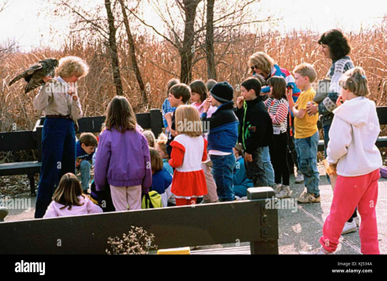 Questa immagine cattura un gruppo di bambini che partecipano a un corso di educazione all'aperto, impegnandosi in attività progettate per migliorare il loro apprendimento in un ambiente naturale. Foto Stock