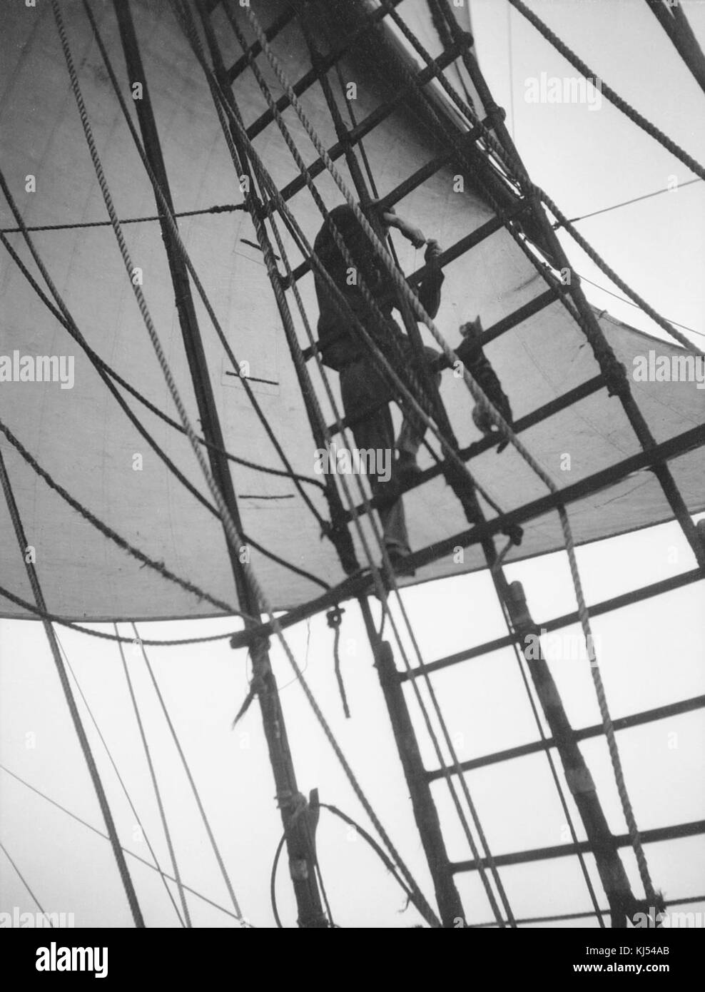 Pommern - marinaio allettanti della nave di gatto su delle protezioni Foto Stock