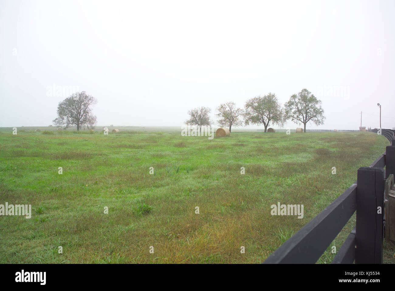 ROUND balle di fieno nel campo di nebbia Foto Stock