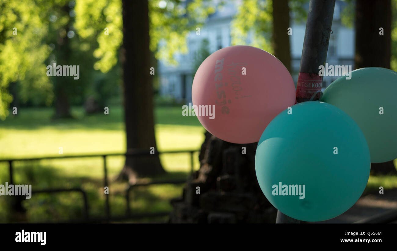 Colorati palloncini party in giardino Foto Stock