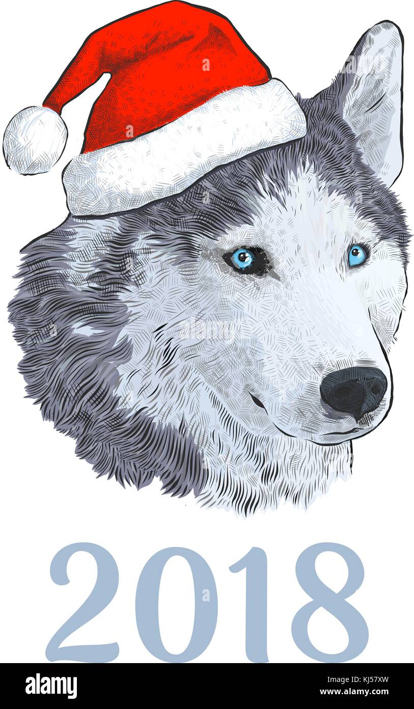 Nuovo anno 2018 congratulazioni card. husky cane in santa claus hat. ritratto colorato di incisione del disegno a mano isolato di immagine su sfondo bianco. Illustrazione Vettoriale