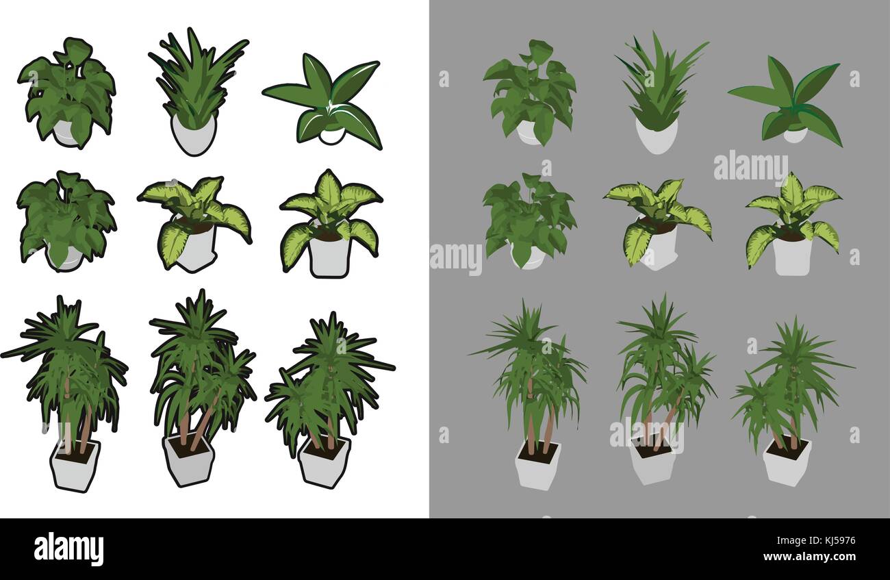 9 houseplants isometrica con e senza contorno nero. 3d'iso prospettiva. Illustrazione Vettoriale