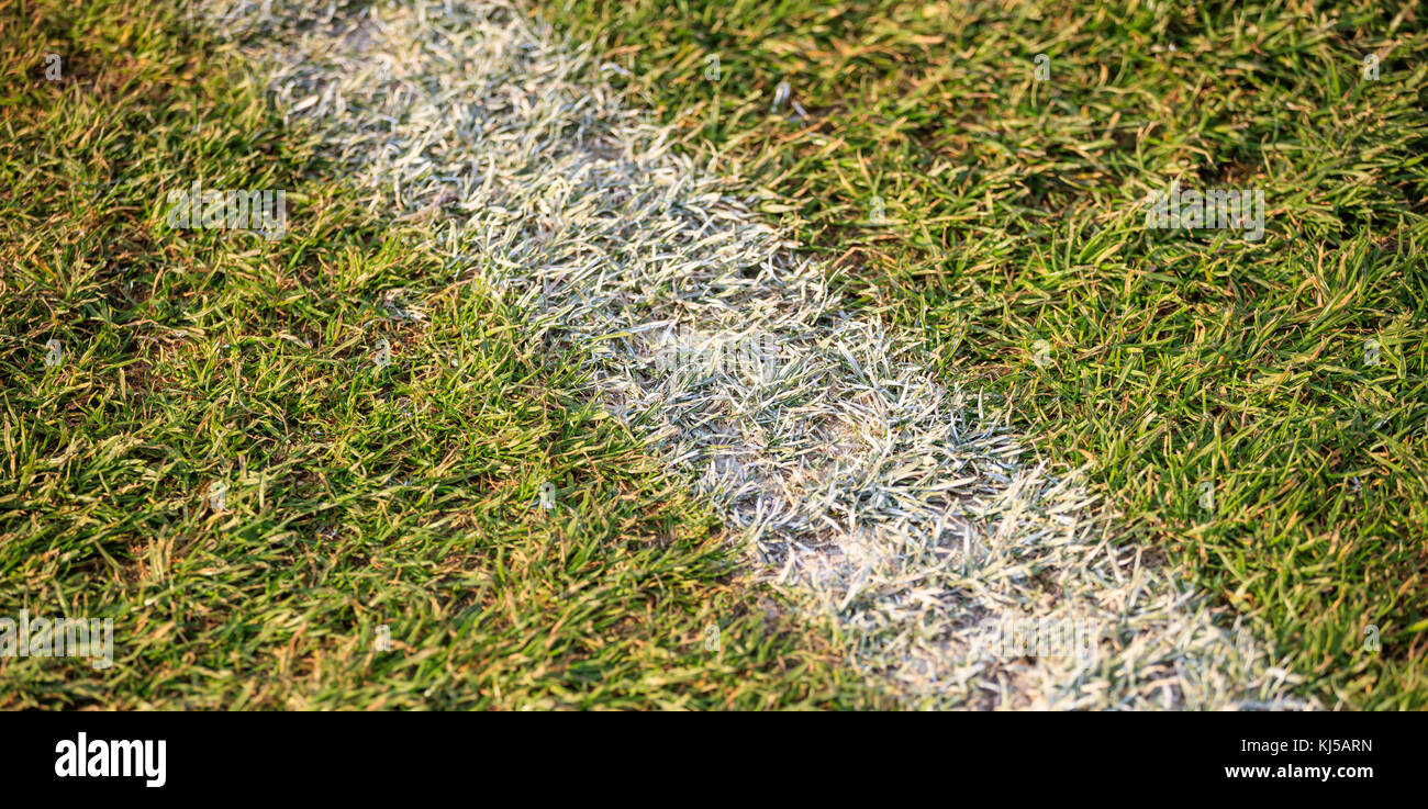 Vista al di sopra di una linea bianca sul campo di calcio. Dettaglio della linea bianca in un campo di calcio. Foto Stock