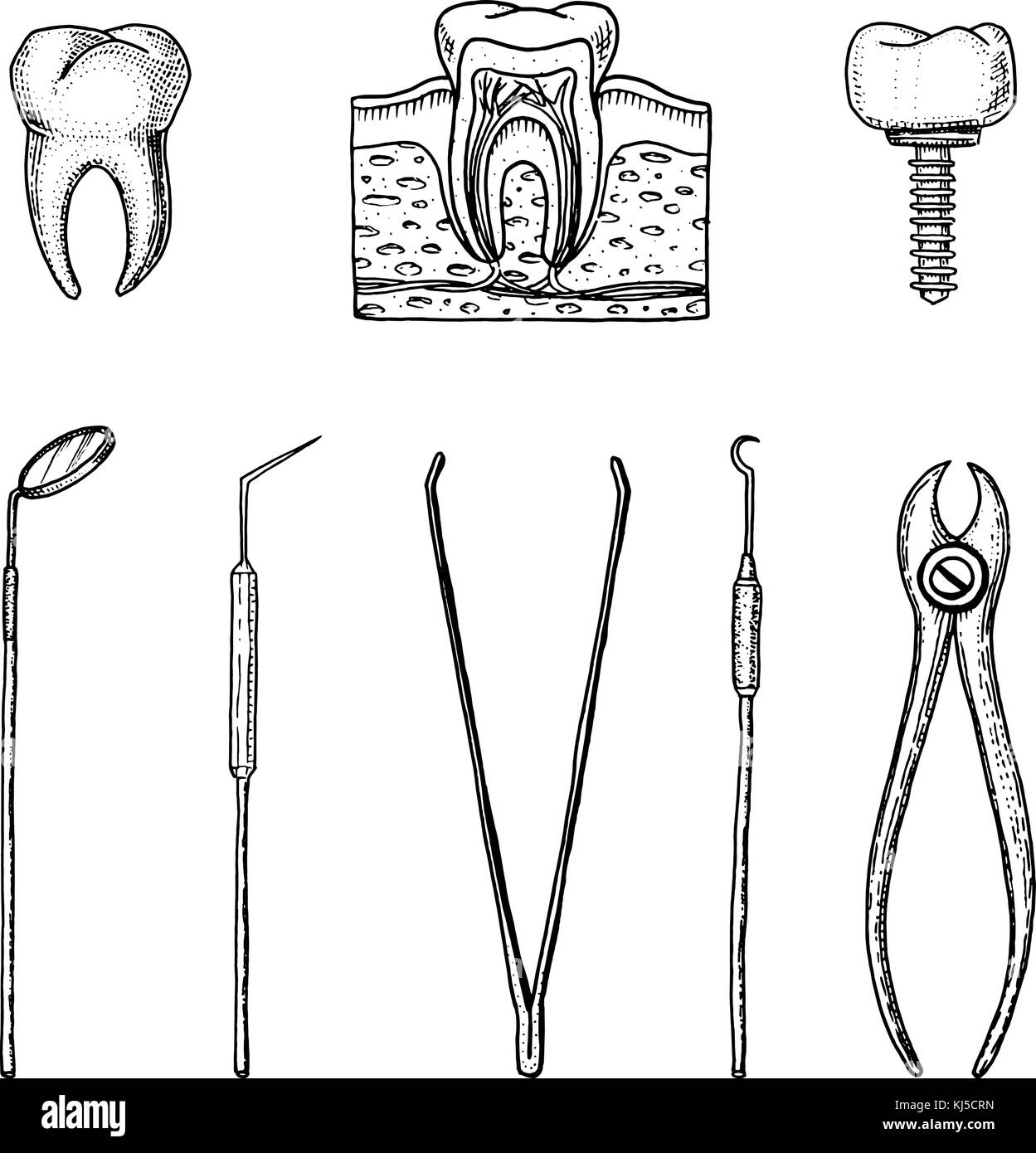 Attrezzature gli strumenti del dentista per dello smalto dei denti, impostare medico. la cavità orale pulire o malati. salute o carie umano. incisi disegnati a mano nel vecchio o vintage sketch. medicina, cura per cavità, l'impianto. Illustrazione Vettoriale